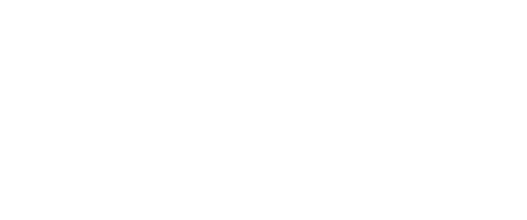 Express Reli Cargo Delivery